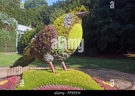 Waddesdon Manor, 1874-1889, Jardin, Aylesbury, Buckinghamshire, oiseau Mosaïcultures Banque D'Images