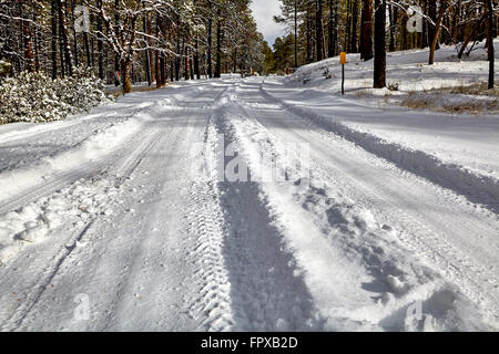 Route de montagne forêt hiver neige paysage avec les traces de pneus Banque D'Images