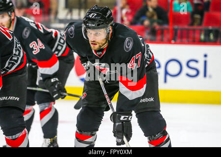 Les Hurricanes de la Caroline le défenseur Michal Jordan (47) au cours de la partie de la LNH entre le St Louis Blues et les Hurricanes de la Caroline au PNC Arena. Banque D'Images