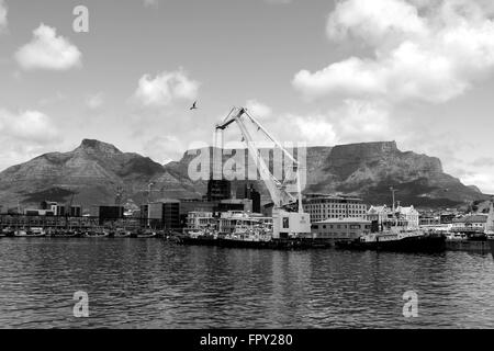 Table Mountain vue depuis le Victoria & Albert Waterfront (Cape Town, Afrique du Sud) Banque D'Images