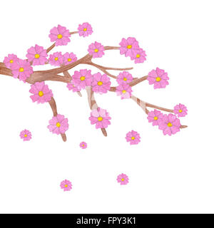 Sakura aquarelle branche avec fleurs. Illustration isolé sur fond blanc. Banque D'Images