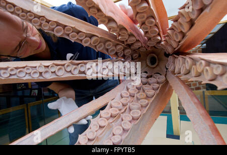 Stralsund, Allemagne. Mar 16, 2016. Biologiste marin Dorit Liebers-Helbig présentant un modèle d'un calamar de Humboldt (Dosidicus gigas) au Musée océanographique de Stralsund, Allemagne, 16 mars 2016. La nouvelle exposition intitulée 'Kraken & Konsorten" informe sur l'animal de la classe des céphalopodes. PHOTO : STEFAN SAUER/dpa/Alamy Live News Banque D'Images