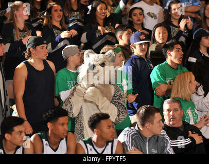 Long Beach, CA. Mar 19, 2016. Chino Hills fans pendant le CIF Southern Regional division Open garçons finale match de basket-ball de préparation entre Chino Hills et l'Évêque Montgomery à la pyramide sur le campus de l'Université d'état de Long Beach Long Beach en Californie.Louis Lopez/CSM/Alamy Live News Banque D'Images