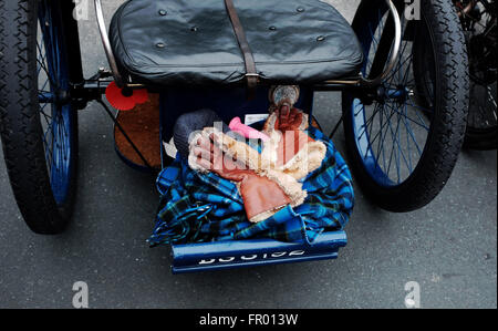 Brighton, UK. 20 mars, 2016. Les amateurs de prendre part au 77e course de motos pionnier vétéran qui commence à Surrey Epsom et termine sur le front de mer de Brighton Crédit : Simon Dack/Alamy Live News Banque D'Images