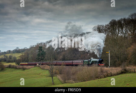 Grosmont, North Yorkshire, UK. Le 20 mars 2016. The Flying Scotsman transportant des passagers sur le North Yorkshire Moors Railway. Le train part Grosmont sur sa façon d'York demain soir (lundi 21 mai) . Robert Smith de crédit/Alamy Banque D'Images