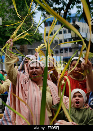 San Jose, Costa Rica. Mar 20, 2016. Les gens ont des branches au cours d'un palm procession des Rameaux, dans le cadre du début de la Semaine Sainte, dans la cathédrale métropolitaine de San José, capitale du Costa Rica, le 20 mars 2016. © Kent Gilbert/Xinhua/Alamy Live News Banque D'Images