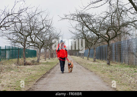 Berlin, Allemagne. Feb, 2016 4. Sieglinde et la liste Stasny chien Shrek pratiquer sur un terrain d'entraînement pour chiens au refuge d'animaux à Berlin, Allemagne, 4 février 2016. Depuis plus de sept ans, les 66 ans a été prise en charge des chiens refuge volontairement. Photo : Christina Sabrowsky/dpa/Alamy Live News Banque D'Images