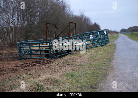 Les observateurs d'oiseaux masquer en construction par English Nature près de Ham, Mur Ashcott dans le Somerset. Où l'Hudsoian hudsonienne a été vu Banque D'Images