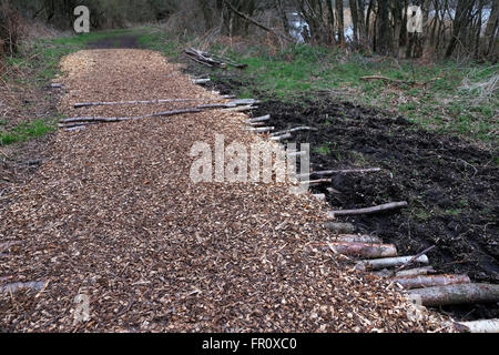 Copeaux de bois naturel chemin à travers les bois pour un sentier dans la nature, avec les journaux pour ajouter la force. Mars 2016 Banque D'Images