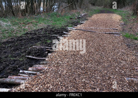 Copeaux de bois naturel chemin à travers les bois pour un sentier dans la nature, avec les journaux pour ajouter la force. Mars 2016 Banque D'Images