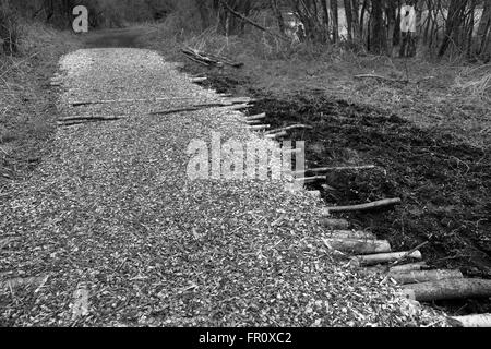 Copeaux de bois naturel chemin à travers les bois pour un sentier dans la nature, avec les journaux pour ajouter la force. Mars 2016 Banque D'Images