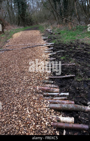 Copeaux de bois naturel chemin à travers les bois pour un sentier dans la nature, avec les journaux pour ajouter la force. Mars 2016 Banque D'Images