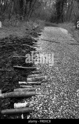 Copeaux de bois naturel chemin à travers les bois pour un sentier dans la nature, avec les journaux pour ajouter la force. Mars 2016 Banque D'Images