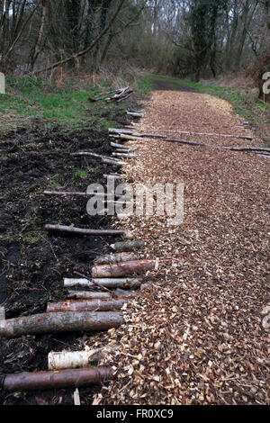 Copeaux de bois naturel chemin à travers les bois pour un sentier dans la nature, avec les journaux pour ajouter la force. Mars 2016 Banque D'Images