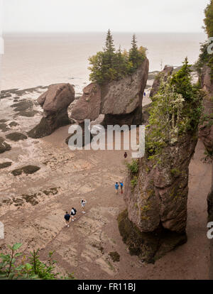 Hopewell Rocks à marée basse Nouveau-Brunswick Canada Banque D'Images