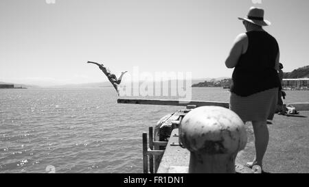 Plongée nageurs sur une planche en bois, Port de Wellington, Nouvelle-Zélande Banque D'Images