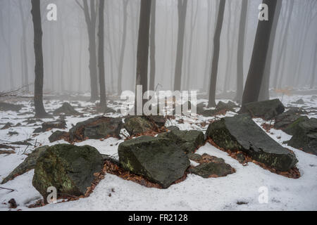 Les rochers et la forêt dans la brume à décongeler le mont Sleza Parc paysager Banque D'Images