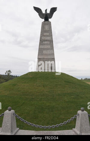 Monument de français qui sont morts à La Moskowa champ de bataille en 1812, la Russie redoute Schewardino Banque D'Images