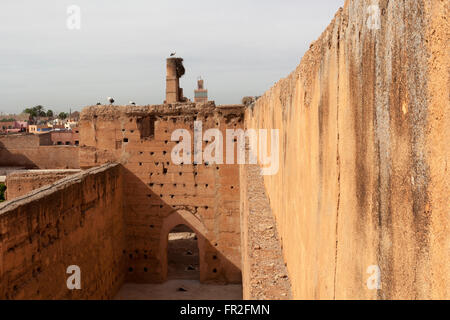 Les cigognes nichant dans les murs du palais El Badi, Marrakech, Maroc Banque D'Images