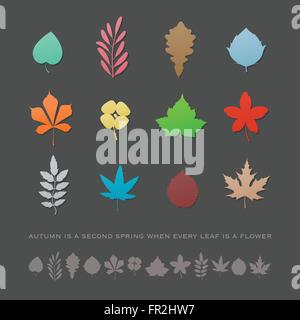 Ensemble de feuilles colorées, faites à la main icons isolé sur fond gris. vector collection logo feuilles automne éléments de conception. Illustration de Vecteur