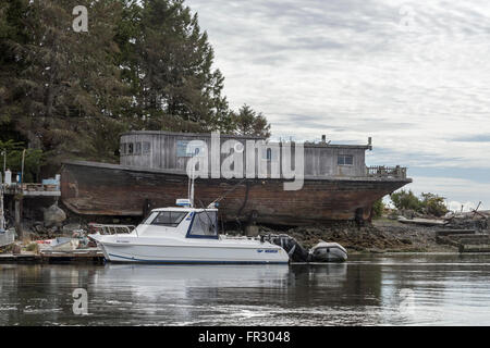 Les choix de style de vie, Deadman Islets, Tofino, Colombie-Britannique Banque D'Images