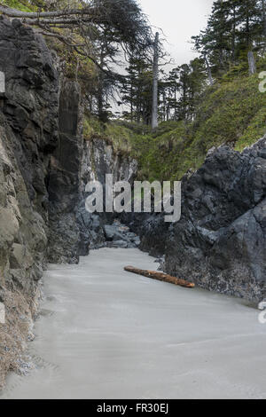 Gully rempli de sable à marée basse, Chesterman Beach, Tofino, Colombie-Britannique, Canada Banque D'Images