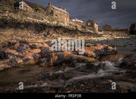 Cornwall,port quin Banque D'Images