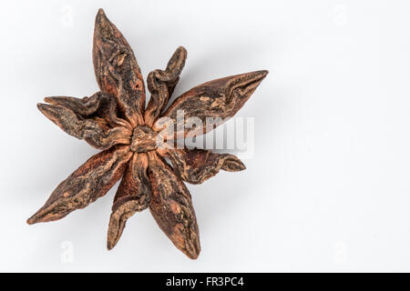 Seule la badiane isolated on white montre des détails Banque D'Images