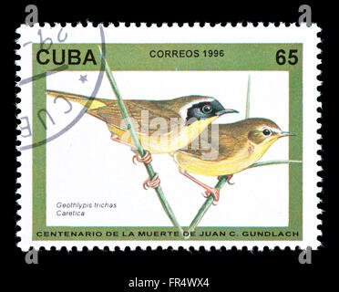 Timbre-poste de Cuba, illustrant une paruline masquée (Geothlypis trichas). Banque D'Images