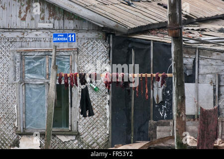 Le séchage de la viande de morse dans le village Uelen, le village le plus nord-est de la Russie, en Extrême-Orient russe Banque D'Images