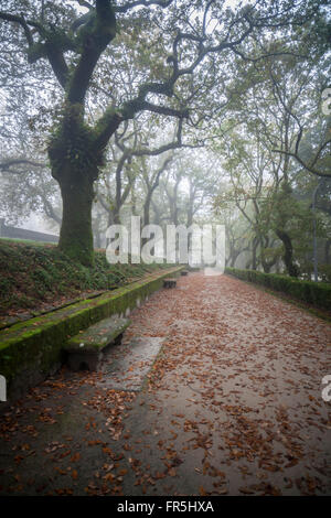 Le Parque de la Alameda en automne. Santiago de Compostela. Banque D'Images