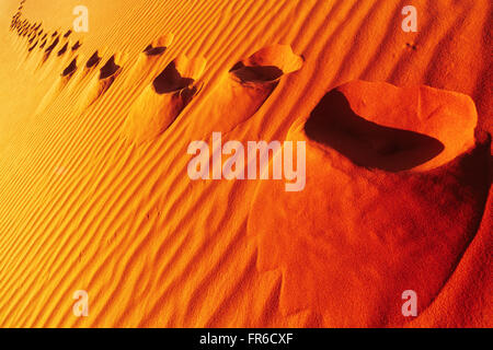 Empreintes sur dune de sable, désert du Sahara, l'Algérie Banque D'Images