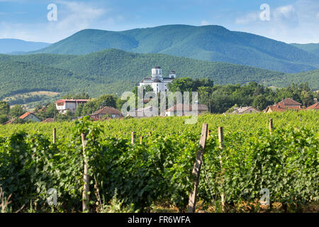 République de Macédoine, région viticole, Demir Kapija Popova Kula winery Banque D'Images