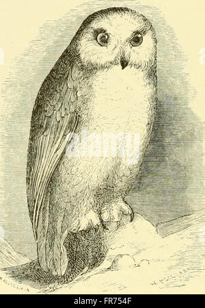 Cet ouvrage de 1882 documente le voyage du Vega, qui a fait le tour de l'Asie et de l'Europe, avec un examen historique des explorations antérieures le long de la côte nord de l'ancien monde, offrant un aperçu de l'exploration mondiale et de l'histoire de la navigation. Banque D'Images