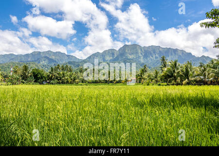 Philippines Leyte Baybay beau paysage près de la ville portuaire de Baybay Adrian Baker Banque D'Images