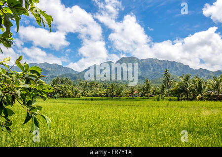 Philippines Leyte Baybay beau paysage près de la ville portuaire de Baybay Adrian Baker Banque D'Images