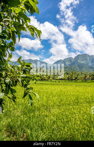 Philippines Leyte Baybay beau paysage près de la ville portuaire de Baybay Adrian Baker Banque D'Images