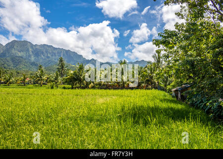 Philippines Leyte Baybay beau paysage près de la ville portuaire de Baybay Adrian Baker Banque D'Images