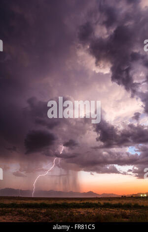 Un coup de foudre au coucher du soleil dans le désert d'un orage d'été près de Phoenix, Arizona Banque D'Images