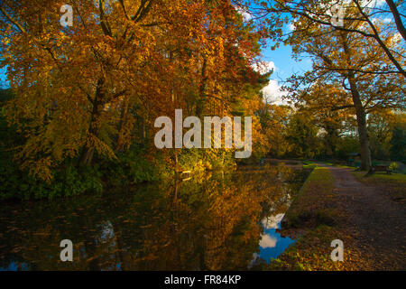 L'automne sur le canal près de Basingstoke Hampshire de la flotte. England UK Banque D'Images