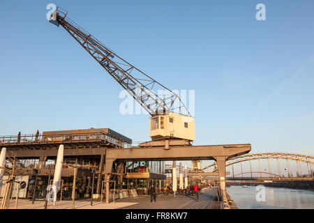 Vieux crane à la rivière Main à Francfort, Allemagne Banque D'Images