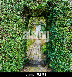 Sarah Raven Hill Perche Jardin Sussex England Banque D'Images