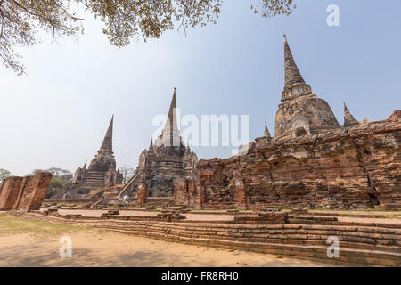 L'intérieur des trois pagodes Wat Prasri ancien domaine de Sanpetch à Ayutthaya, Thaïlande. Banque D'Images