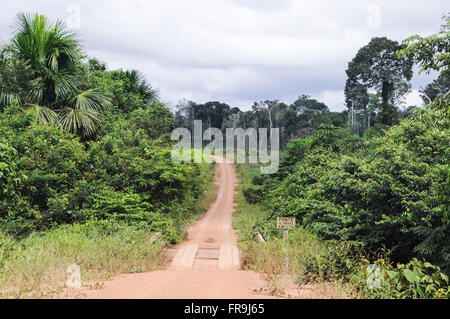 Le 9 janvier Pont de l'autoroute BR-230 Transamazon à travers la forêt Banque D'Images