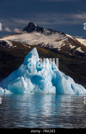 Un Iceberg flotte sur les eaux calmes de la baie de Holkham, Tracy Arm-Fords Terror Wilderness, forêt de Tongass, Alaska.Mt.Mont Sumdum et le glacier de Sumdum dans T... Banque D'Images