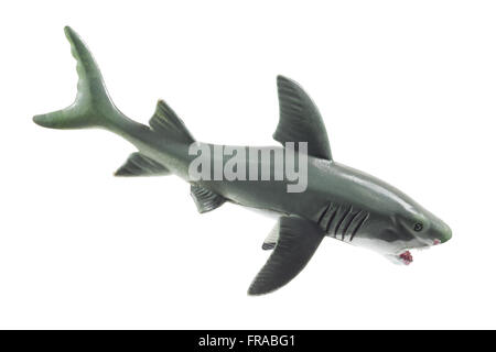 Requin en caoutchouc Banque D'Images