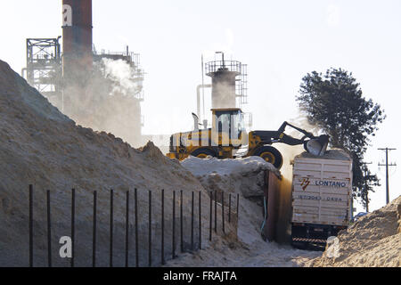 Patio de la bagasse de canne à sucre dans l'alimentation de l'usine de congénération Banque D'Images