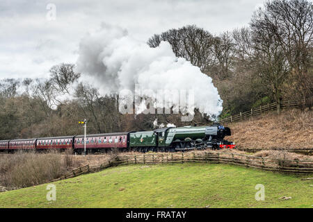 The Flying Scotsman se déplaçant dans la campagne du Yorkshire du Nord sur le North Yorkshire Moors Railway Banque D'Images