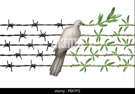 Concept d'optimisme et de la diplomatie comme une colombe symbole de l'espoir sur les barbelés de branches d'olivier à titre de symbole de bonne volonté de l'homme et un respect pour l'humanité et un monde plus sûr ou un message d'accueil pour la journée de la terre isolé sur blanc. Banque D'Images
