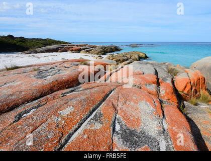 La baie d'incendie en Tasmanie est fait de lichens orange-couverts les rochers de granit, Tasmanie, Australie Banque D'Images